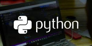 Python y el desarrollador Python
